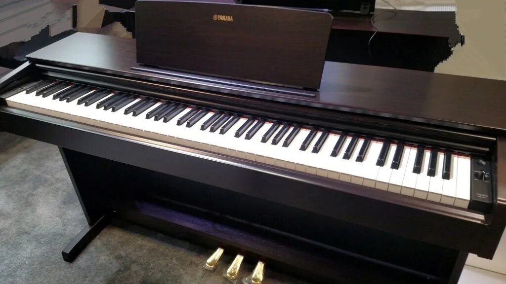 músculo velocidad imagen Yamaha ARIUS Digital Pianos - REVIEW 2023 | 6 Models under $2500